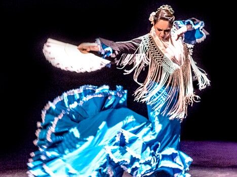 Flamenco Intimo